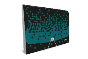 PASTA SANFONADA POLIBRAS A/4 COM 12 DV DOTS - PRETA COM VERDE