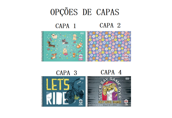 https://colegioparthenonbc.papelariapremium.com.br/image/cache/data/eftr/Img_ftr_rp_395601-580x400.PNG