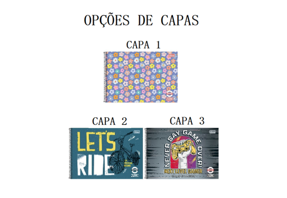 https://colegioparthenonbc.papelariapremium.com.br/image/cache/data/eftr/Img_ftr_rp_395701-580x400.PNG