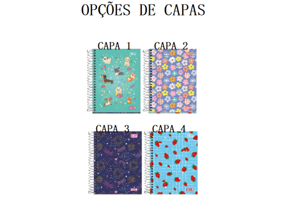 https://colegioparthenonbc.papelariapremium.com.br/image/cache/data/eftr/Img_ftr_rp_409101-580x400.PNG