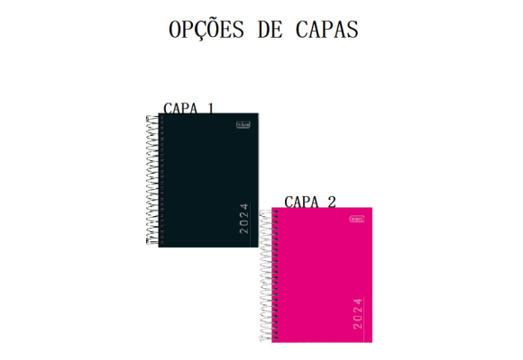 https://colegioparthenonbc.papelariapremium.com.br/image/cache/data/eftr/Img_ftr_rp_409301-580x400.PNG